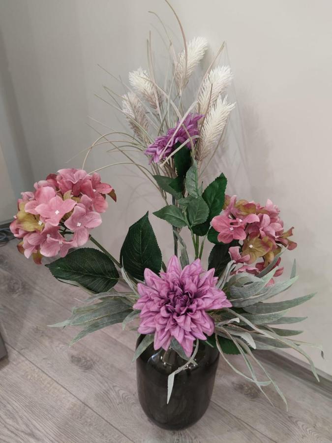 Flowers Apartment Dobrič Exteriér fotografie